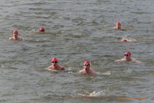 17038693 1863897507216343 8640949266676697201 o